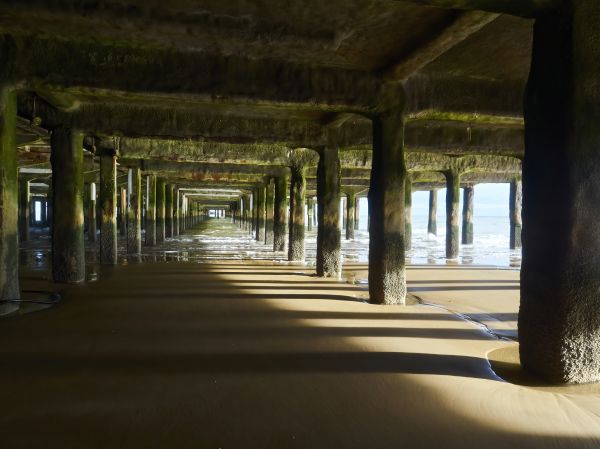 Cost of Pier And Beam Leveling in Wausau